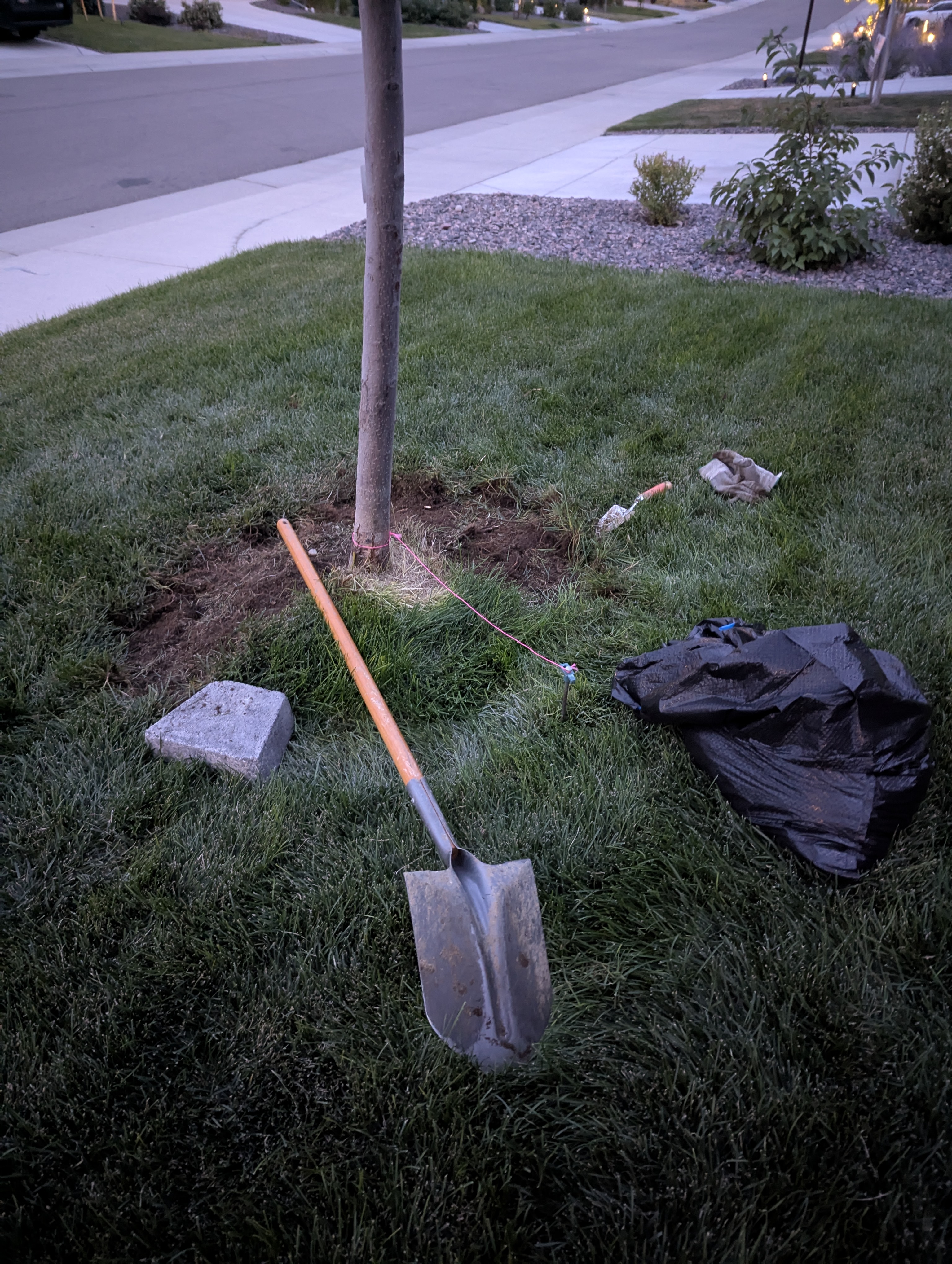 Tree Ring, Home Improvement, Morrison, Colorado